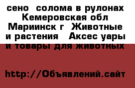 сено, солома в рулонах - Кемеровская обл., Мариинск г. Животные и растения » Аксесcуары и товары для животных   